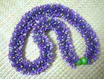 chinesecrownflower 090215.jpg