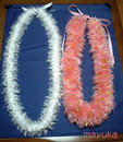 cro_20080329.jpg